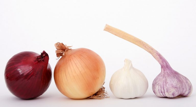 Garlic Food- Onions