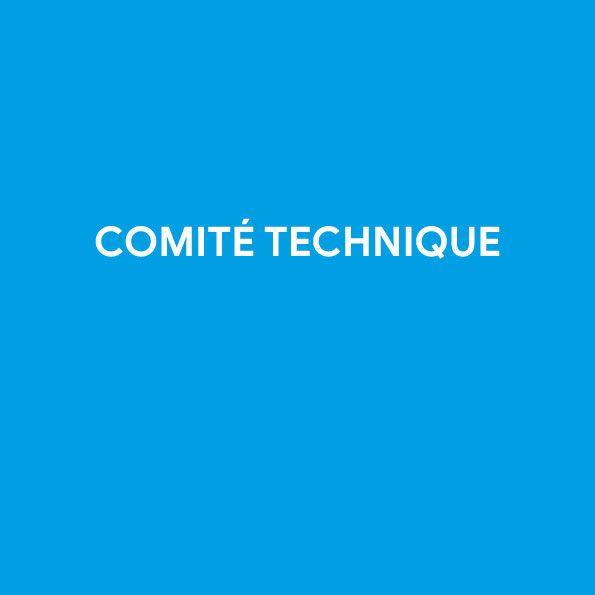 Ordre du jour du Comité technique du 11 janvier 2021
