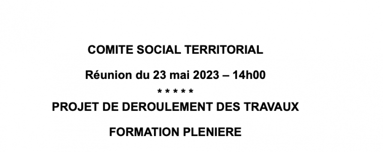 Ordre du jour du comité social territorial du 23 mai 2023