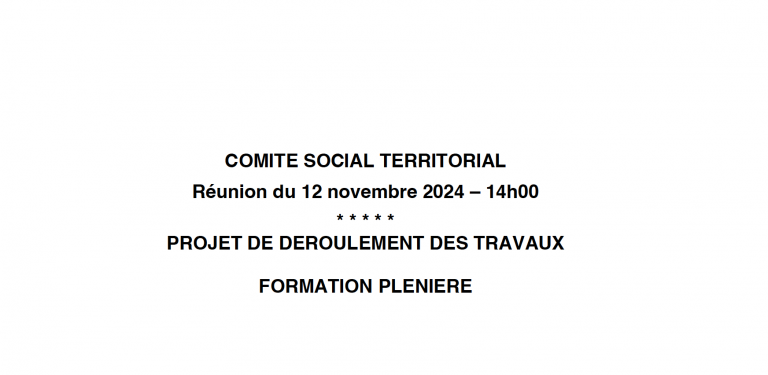 Ordre du jour du Comité Social Territorial du 12 novembre 2024