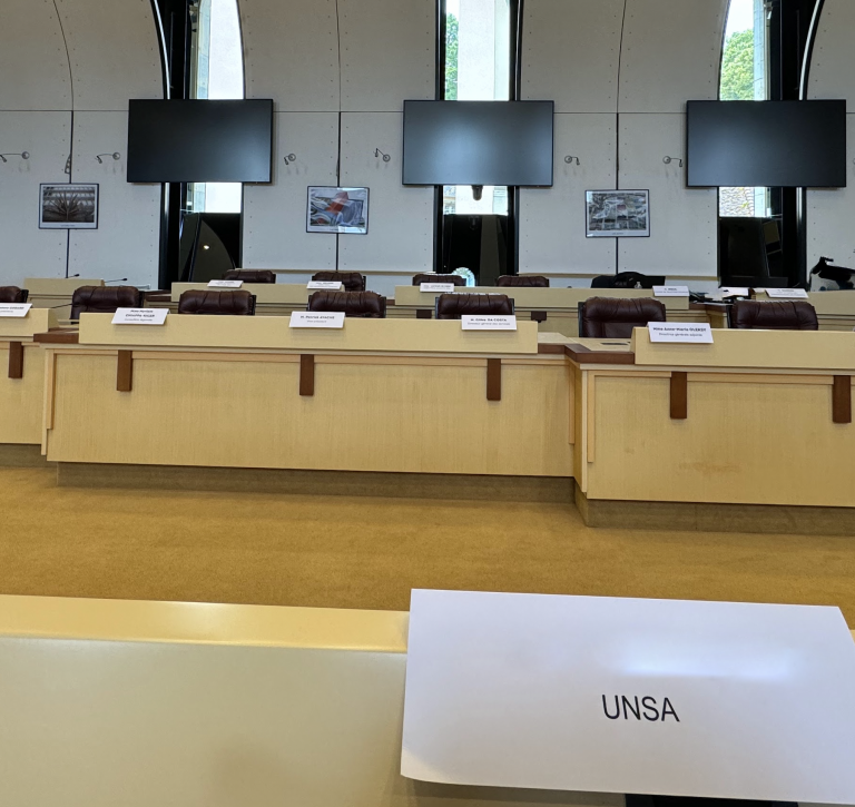 Comité Social Territorial du 27 janvier 2025 : l’ordre du jour 📋